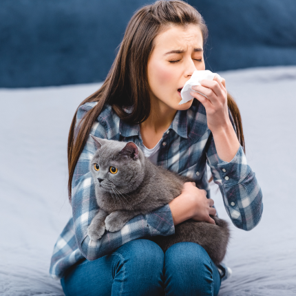 Young woman holding a grey cat sneezing into a tissue