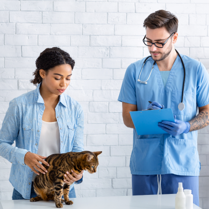 A woman holding a cat standing next to a veterinarian