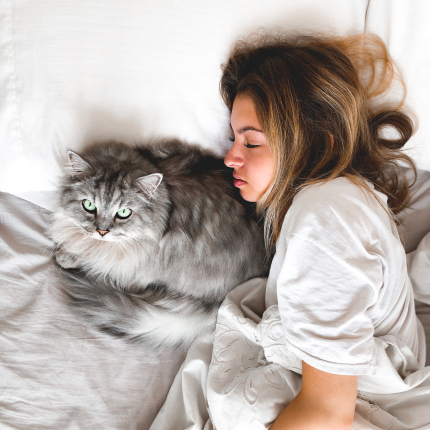 The Real Reason Why Your Cat Wakes You Up Early