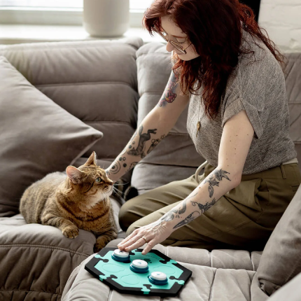 Can Cats Use Buttons To 'Talk'?