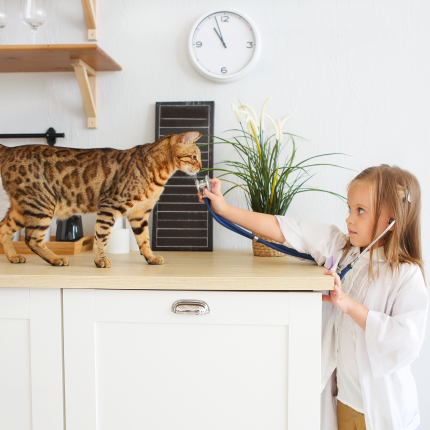 Community Science is Unlocking the Mysteries of Cats