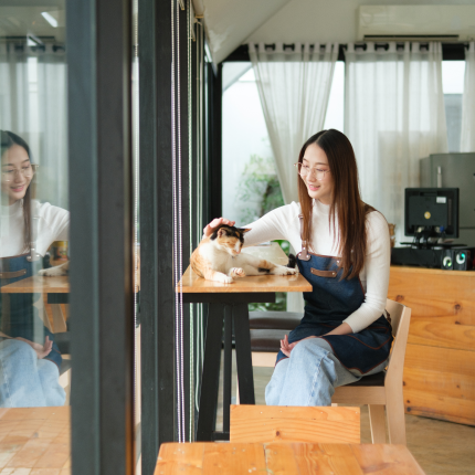 A woman in a cat café smiles while petting a cat on a table.